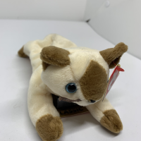 Snip - Soft kitten with brown nose