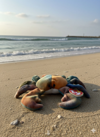 Claude the Crab - Ttie dye crab